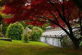 Ботанический сад