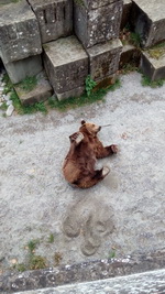 Экскурсия в Швейцарию из Праги - Город Берн