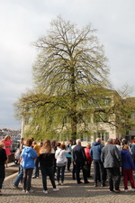 Экскурсия в Швейцарию из Праги - Цюрих