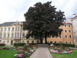 Город Инсбрук